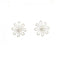 Earrings Sterling Silver