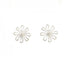 Earrings Sterling Silver