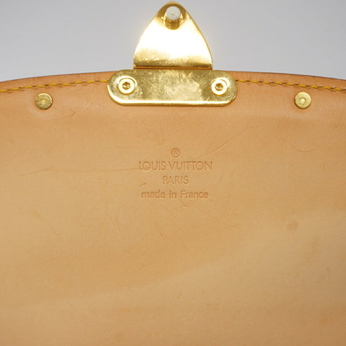 Sologne Handbag Monogram Multicolor