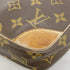 Danube Handbag Monogram Canvas