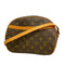 Blois Handbag Monogram Canvas