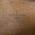 Danube Handbag Monogram Canvas