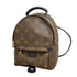 Palm Springs Backpack Monogram Canvas Mini
