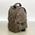 Palm Springs Backpack Monogram Canvas Mini