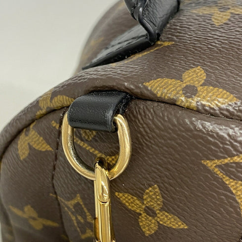 Palm Springs Backpack Monogram Canvas Mini