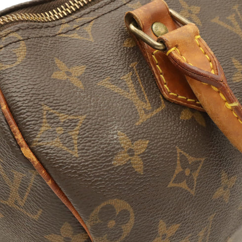 Speedy Handbag Monogram Canvas 25