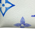 Pochette Accessoires Monogram Multicolor