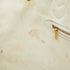 Neverfull NM Tote Spring in the City Monogram Giant Canvas MM