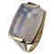 Allegra Quartz Watch 18K Gold US 5.5