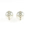 Earrings Sterling Silver