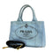 Canapa Convertible Tote Canvas Mini