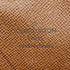 Musette Salsa Handbag Monogram Canvas PM