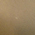 Cabag Elan Toile and Leather 39