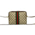 Vintage Web Crossbody Bag GG Coated Canvas Small