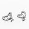 Earrings Sterling Silver