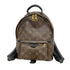 Palm Springs Backpack Monogram Canvas PM