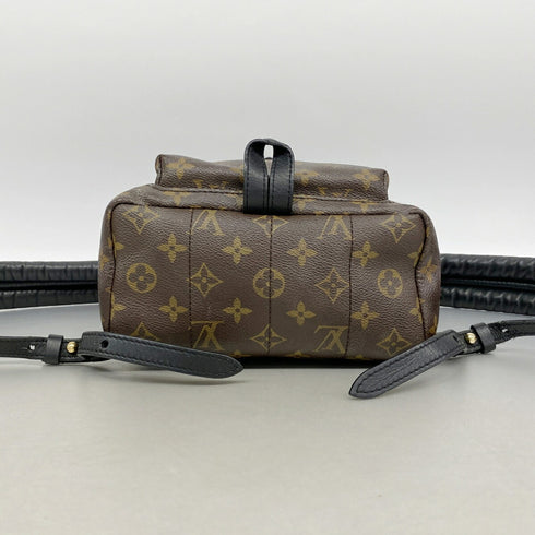 Palm Springs Backpack Monogram Canvas PM