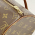 Papillon Handbag Monogram Canvas 26