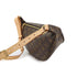 Bum Bag Monogram Canvas