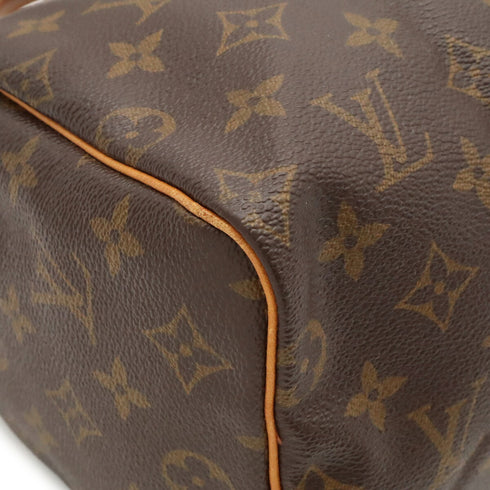 Speedy Handbag Monogram Canvas 25