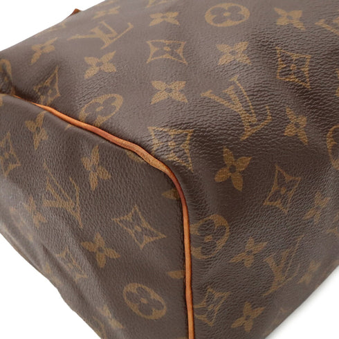 Speedy Handbag Monogram Canvas 25