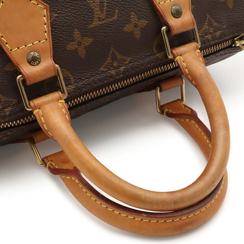 Speedy Handbag Monogram Canvas 25