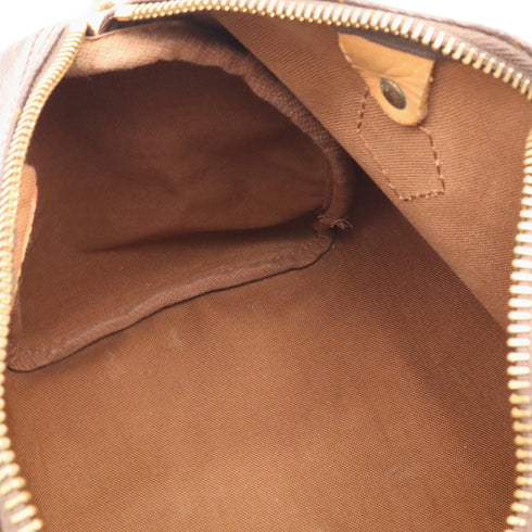 Speedy Handbag Monogram Canvas 25