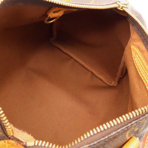 Speedy Handbag Monogram Canvas 25