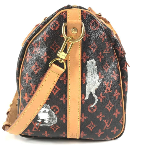 Speedy Bandouliere Bag Limited Edition Grace Coddington Catogram Canvas 30