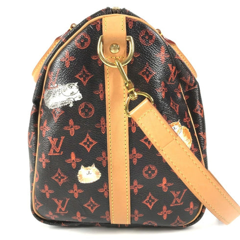 Speedy Bandouliere Bag Limited Edition Grace Coddington Catogram Canvas 30