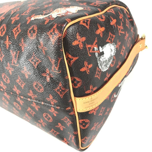 Speedy Bandouliere Bag Limited Edition Grace Coddington Catogram Canvas 30
