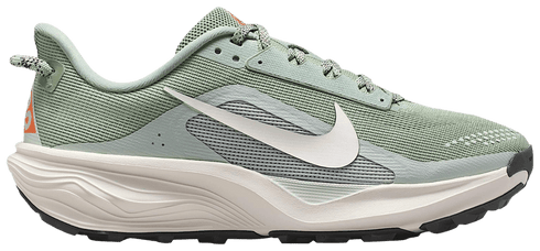 Nike ACG Pegasus Trail Jade Horizon Light Silver (W)