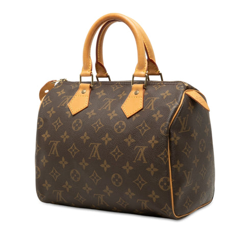 Speedy Handbag Monogram Canvas 25