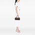 Papillon Handbag Monogram Canvas 26