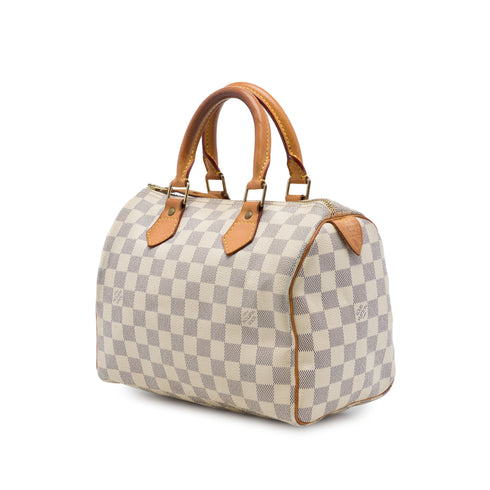 Speedy Handbag Damier 25