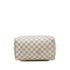 Speedy Handbag Damier 25