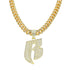 Ruff Ryder Pendant Cuban Chain