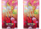 2026 Pokémon Scarlet & Violet Gem Pack Vol.4 (CBB4C) Booster Box (Simplified Chinese) 2x Lot