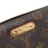 Eva Handbag Monogram Canvas