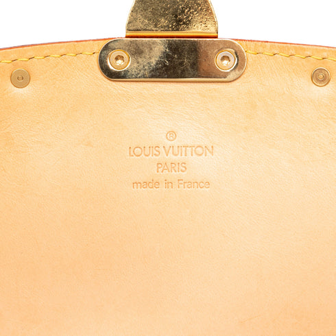 Sologne Handbag Monogram Multicolor