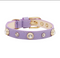 Luxury Dog Collar Bling