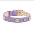 Luxury Dog Collar Bling