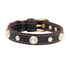 Luxury Dog Collar Bling
