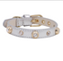 Luxury Dog Collar Bling