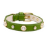 Luxury Dog Collar Bling