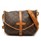 Saumur Handbag Monogram Canvas 30