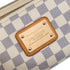 Eva Handbag Damier