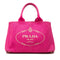 Canapa Convertible Tote Canvas Large