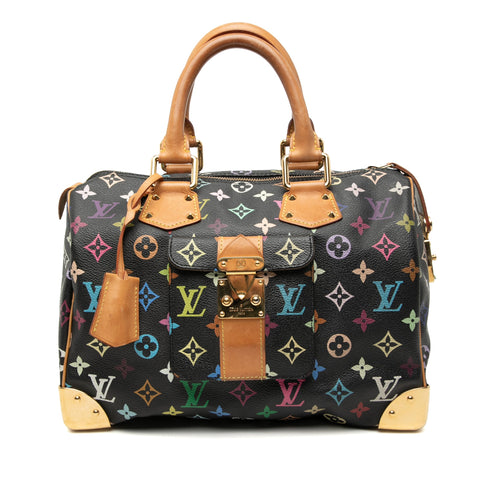 Speedy Handbag Monogram Multicolor 30