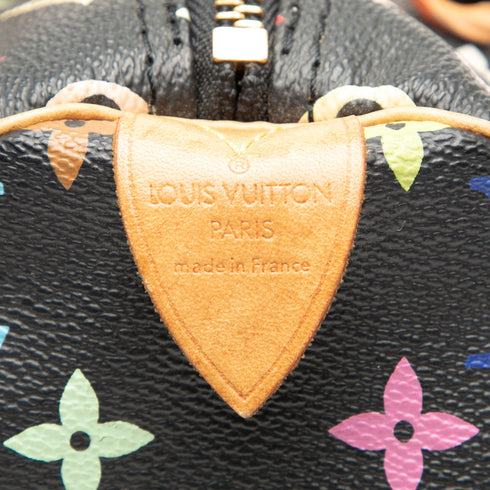 Speedy Handbag Monogram Multicolor 30